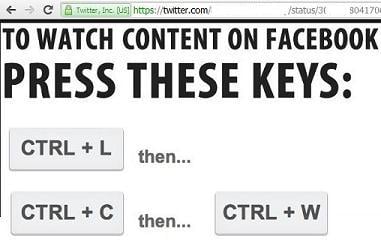 CTRL+L, CTRL+C, CTRL+W and CTRL+V keyboard keys