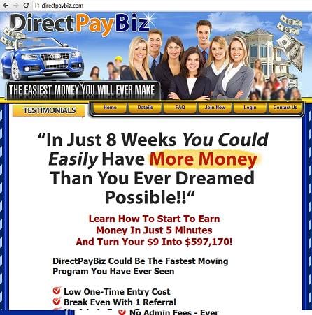 The Website directpaybiz.com - Direct Pay Business (DPB)