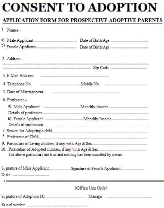Fake Baby Adoption Consent Application Form