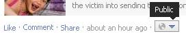 Facebook privacy-Public Share