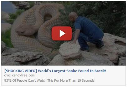 Shocking Video Worlds Largest Snake Found In Brazil Facebook Scam