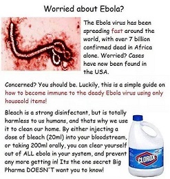 Ebola and Bleach hoax