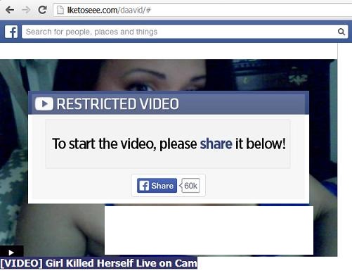 Fake Facebook website www.liketoseee.com