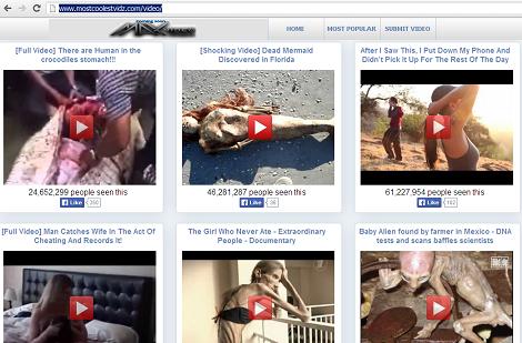 The website www.mostcoolestvidz.com