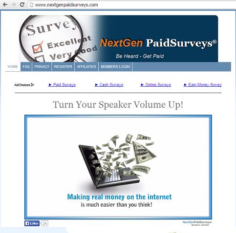 The Website www. nextgenpaidsurveys.com