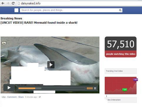 Mermaid found inside a shark websites - www.daisynaked.info - vid.yomovieyo.org