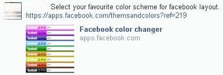 The ‘Facebook Color Changer’ Application