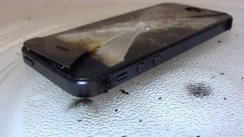 Damaged Microwaved Phone