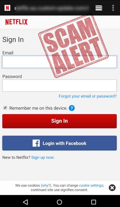 Fake Netflix Sign-in page scam