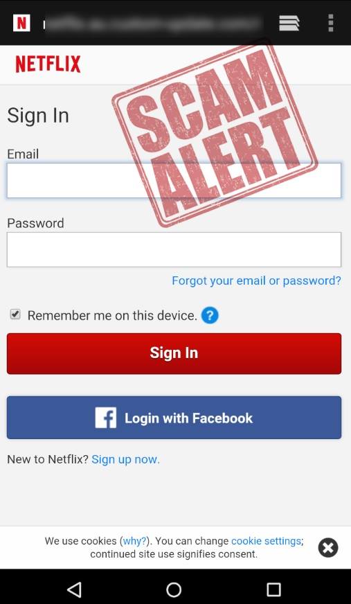 buy netflix accounts buy netflix accounts