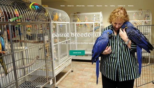 Global Parrots and More at globalparrotsandmore.com