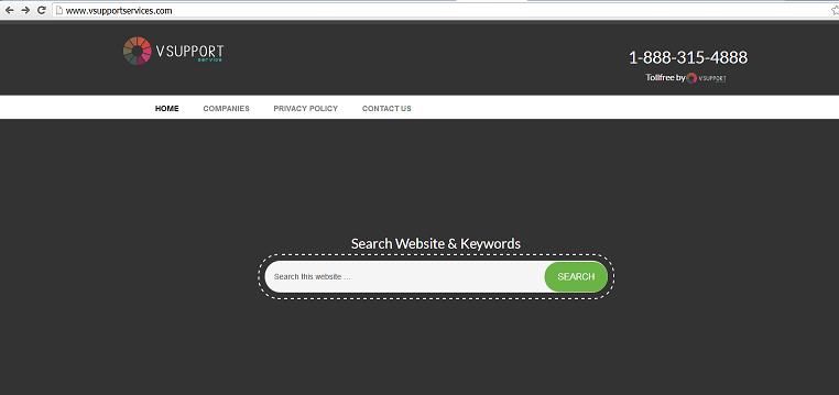 www.vsupportservices.com - The Fake Technical Support Website
