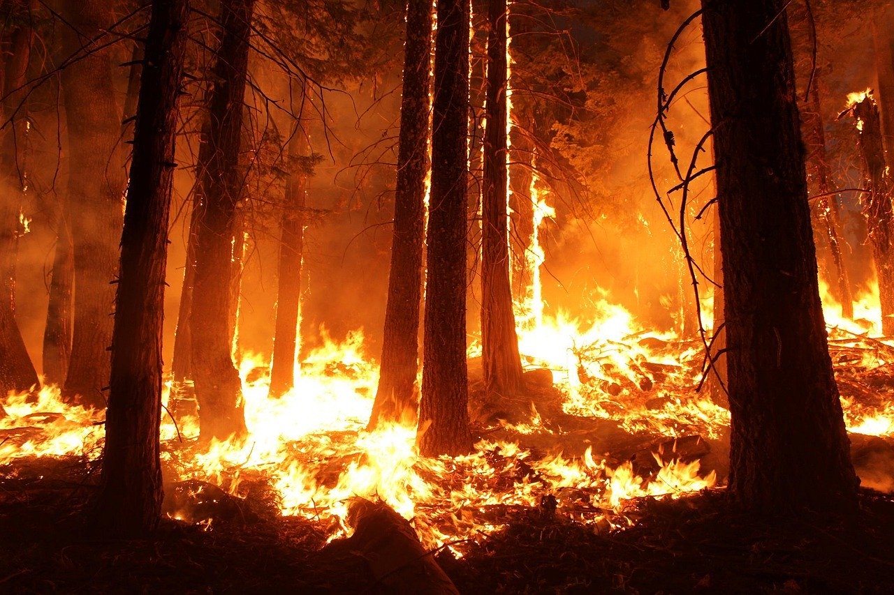 Bush Wildfire in the Tomago, Williamtown and Raymond Terrace area, New South Wales, Australia