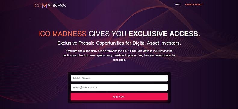 "ICO Madness" Website at ico-winners.online