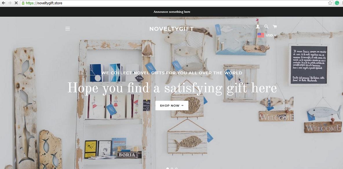  Novelty Gift Store Website at www.noveltygift.store