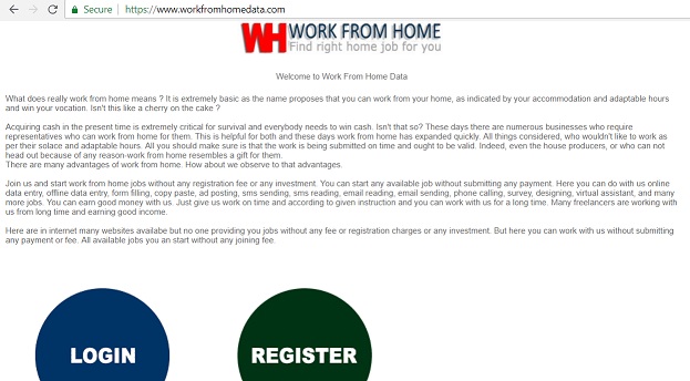 "Work From Home Data" at workfromhomedata.com