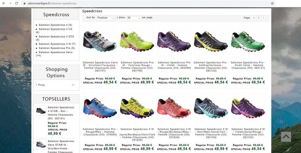 www.salomonenligne.fr - Fake Salomon Online Store