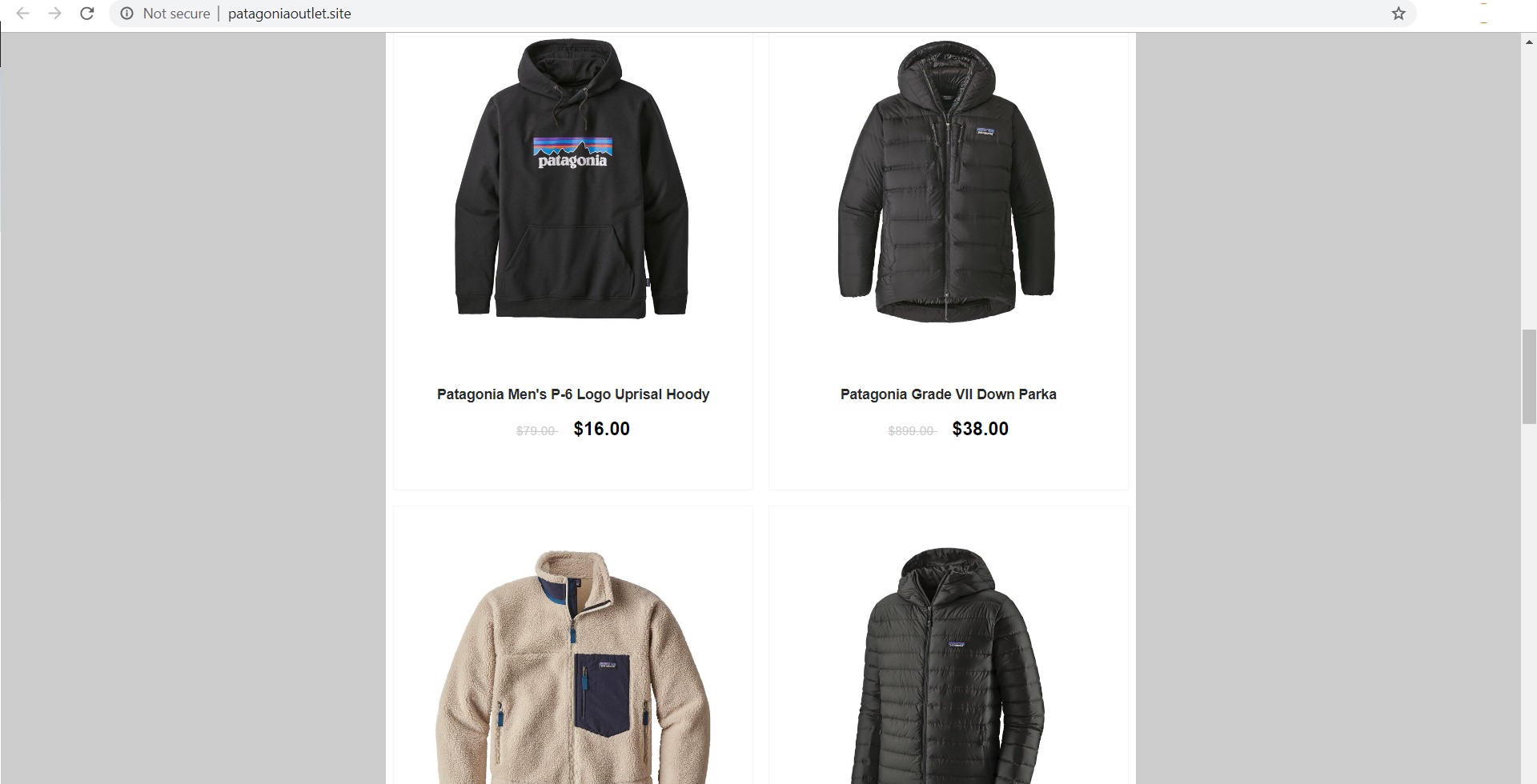 Patagoniaoutlet Best Scam - patagoniaoutlet.best