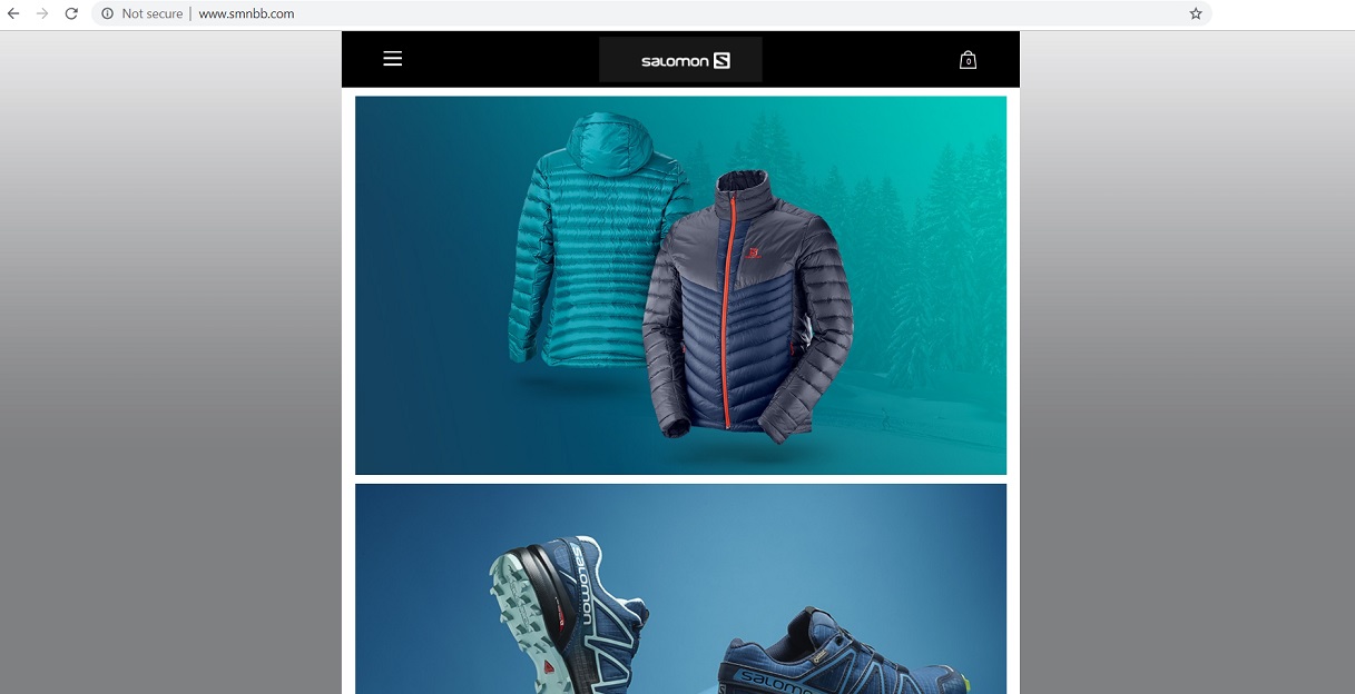 www.smnbb.com - Fake Salomon Online Store