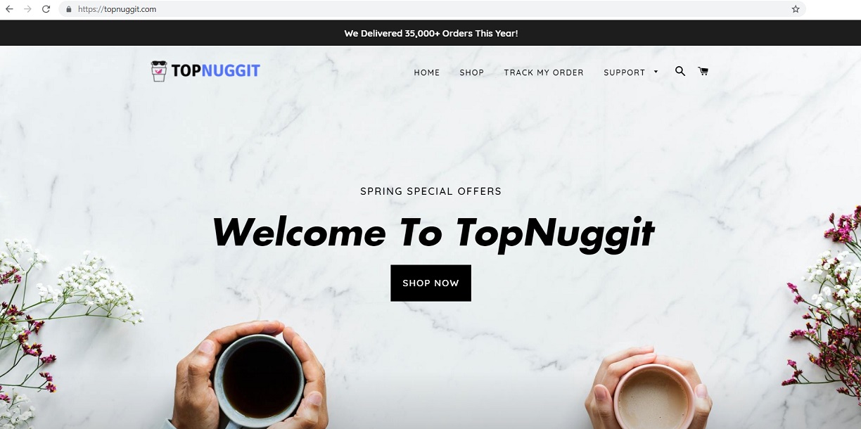 topnuggit.com