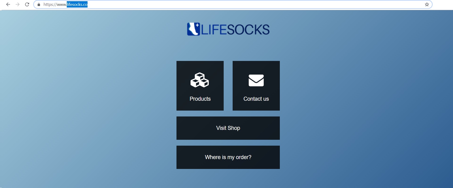 lifesocks.co