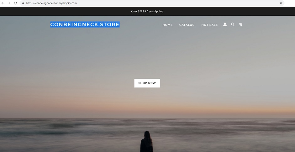 conbeingneck.store or conbeingneck-stor.myshopify.com