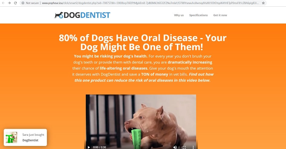 A Fake DogDentis Website