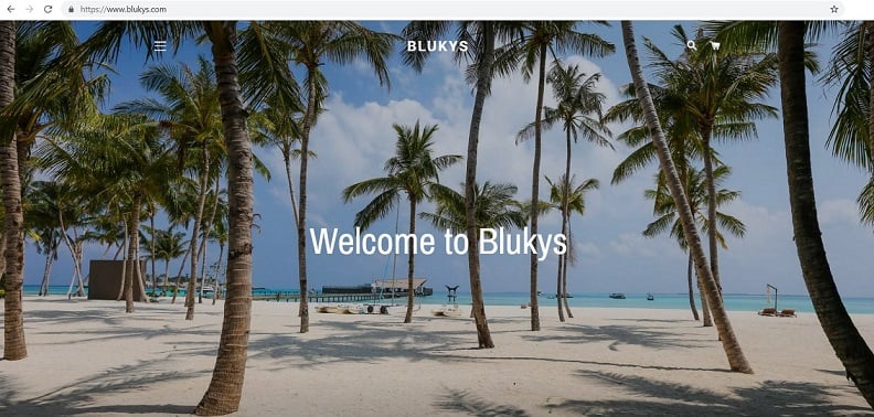 www.blukys.com