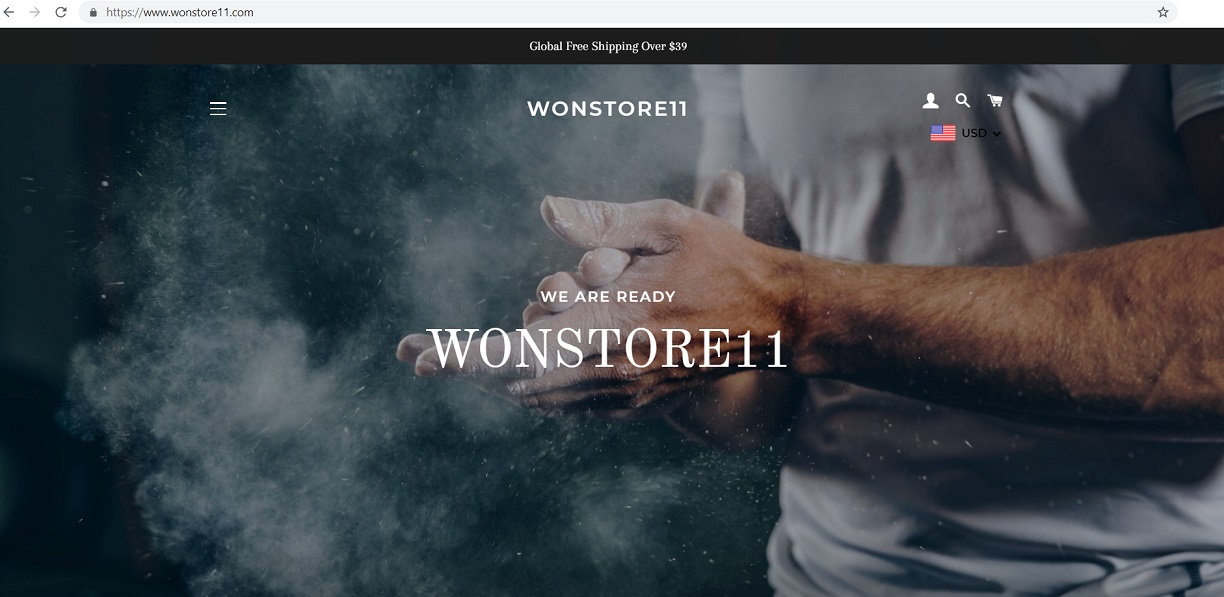 www.wonstore11.com