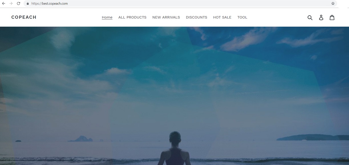 copeach.com