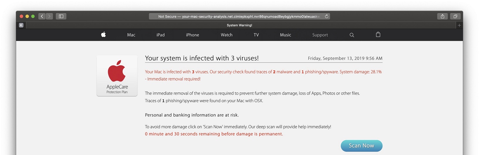 Your System is Infected with 3 Viruses