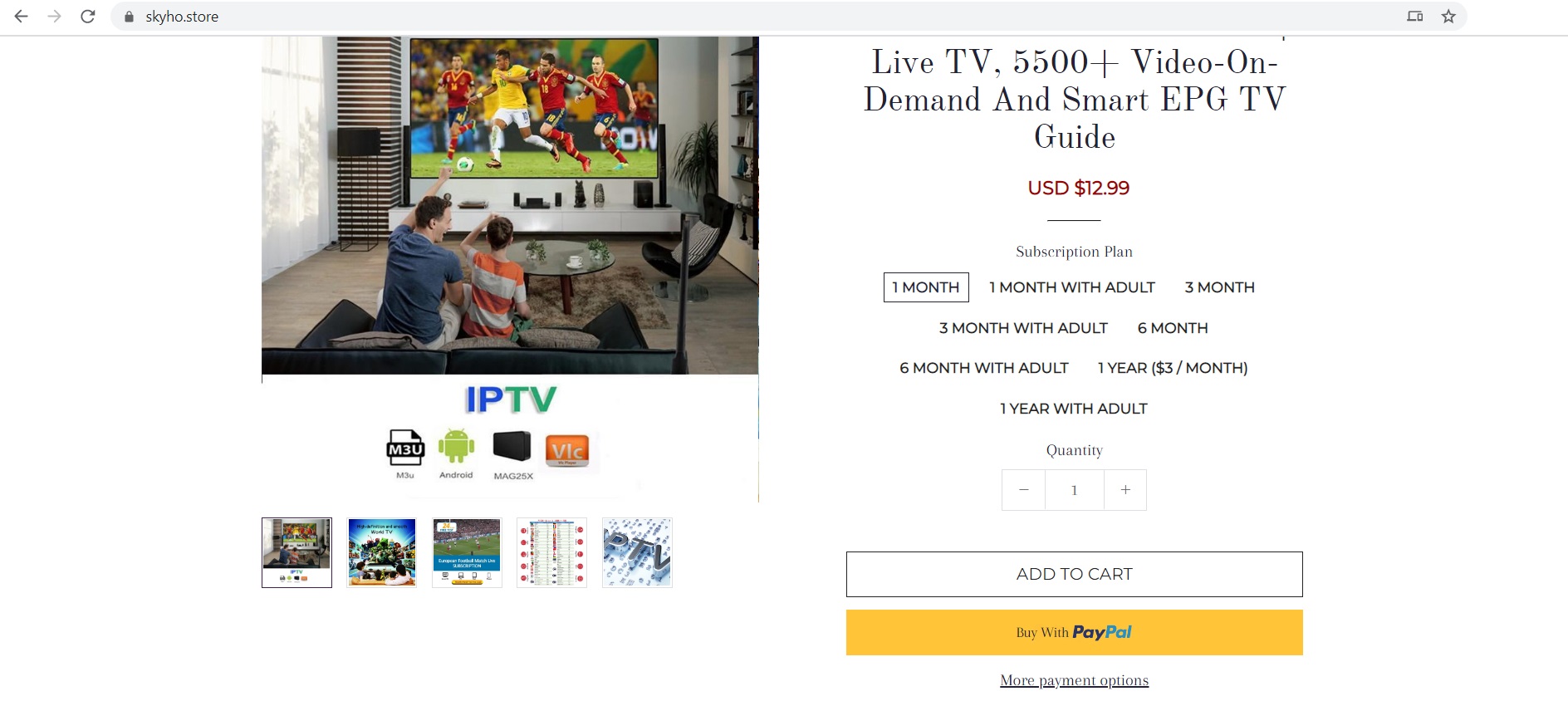 Skyho Store an IPTV subscription Service Provider