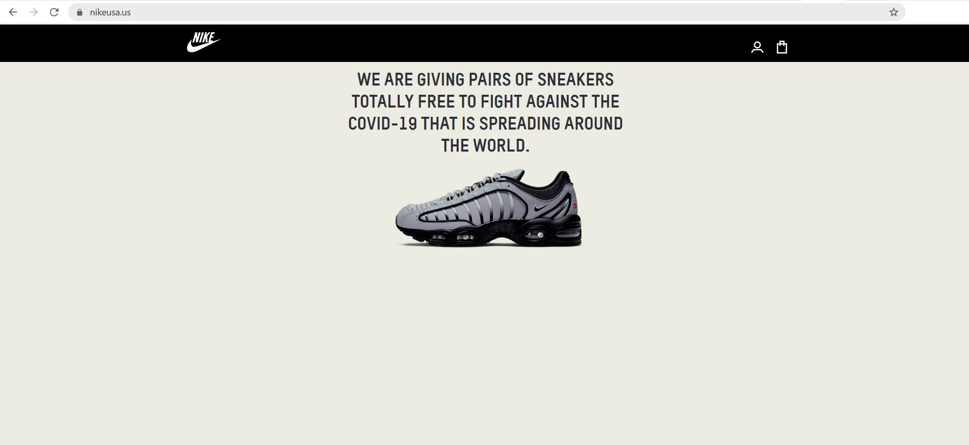 NikeUsa.us Scam and Fake Nike Store