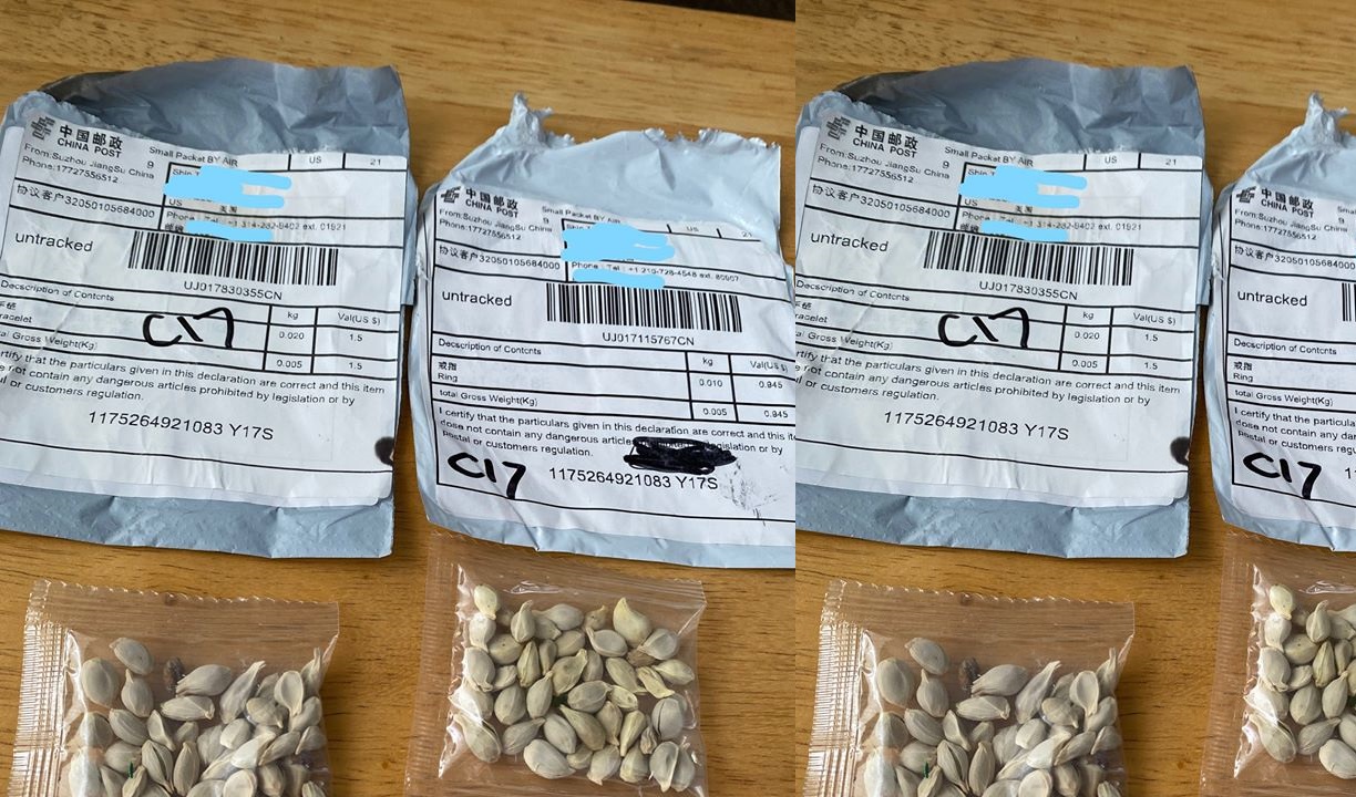 China Seeds Warning Scam  What to Do?