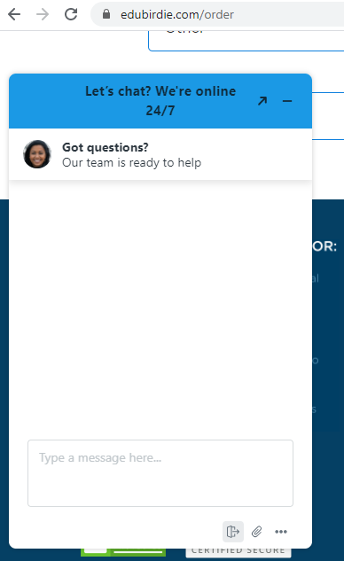 EduBirdie Review: Online Chat