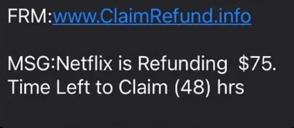 Netflix Reimbursement Scam Text Message