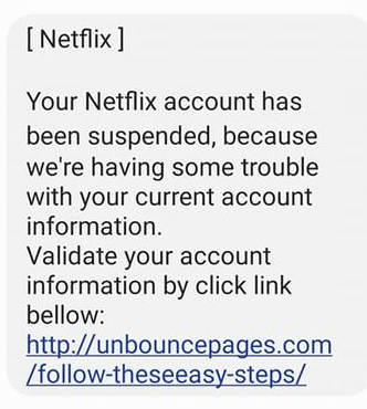 Netflix Scam text