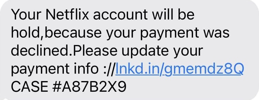 Netflix Scam Text