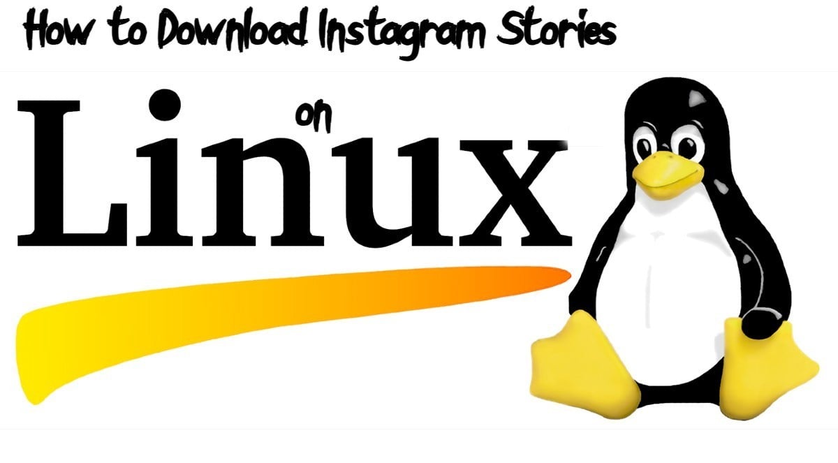 How to Download Instagram Stories on Linux