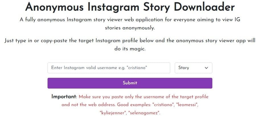 Anonymous Instagram Story Downloader