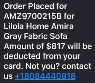 Lilola Home Sofa Fraudulent Text Message