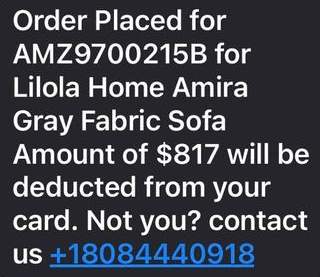 Lilola Recliner Fraudulent Text Message