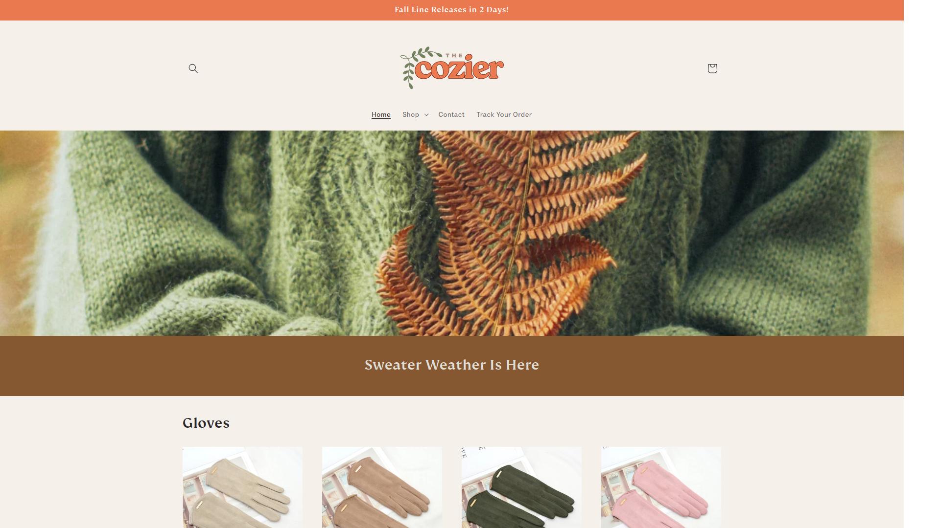 Is Thecozier at thecozier.com a Scam or Legitimate Store?
