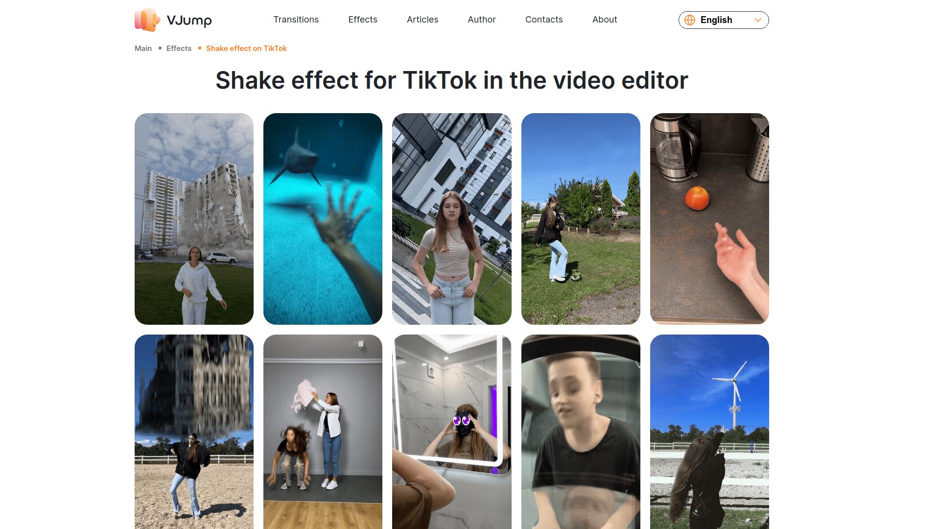 The TikTok Shake Effect  A Brief Guide