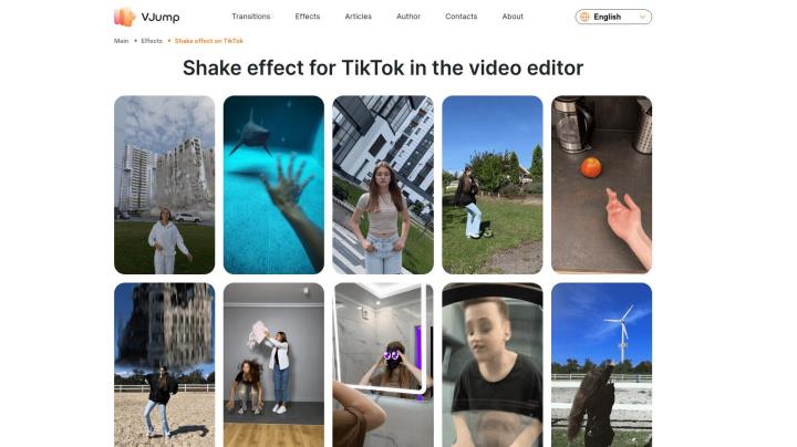 The TikTok Shake Effect: A Brief Guide thumbnail