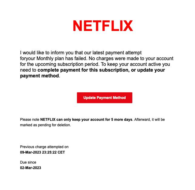 Netflix Scam Email