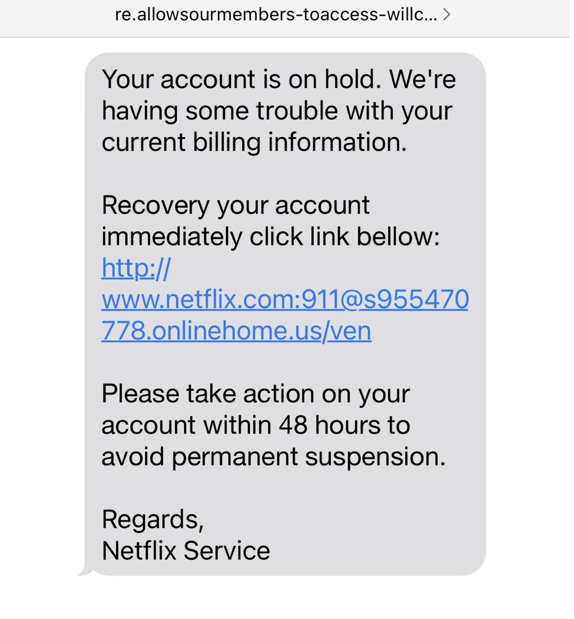 Netflix Scam Text Account On Hold