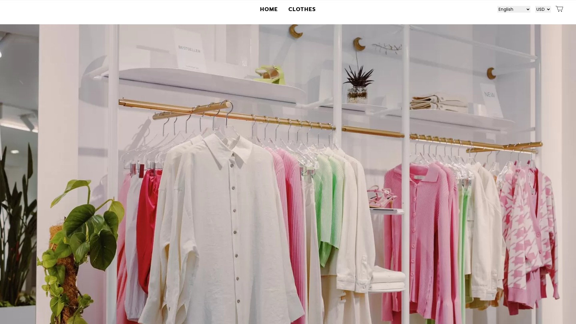 Apickhoe at apickhoe.com Scam Store