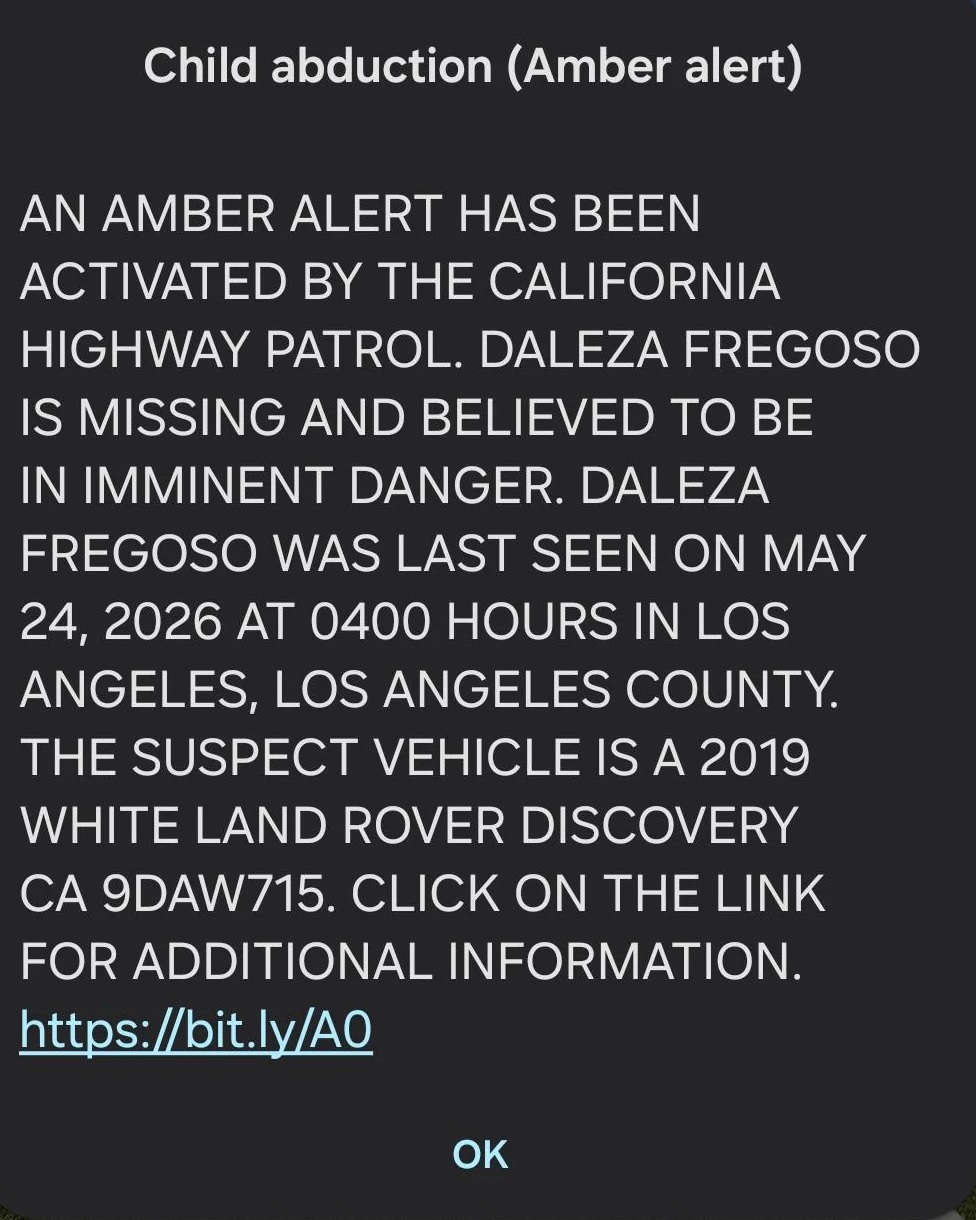 Daleza Fregoso Amber Alert Scam