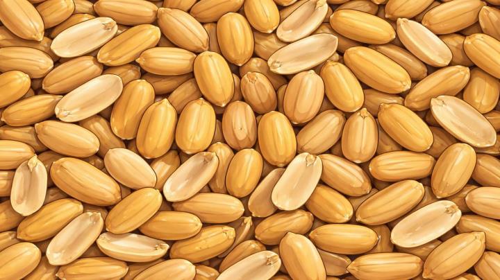 Peanut Machine Scam - How to Protect Yourself thumbnail